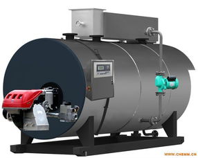 臥式冷凝常壓熱水鍋爐與LNG低溫常壓儲罐 核心技術、廠家概覽與市場展望